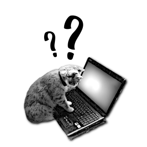 Simona, the cat, stares at a laptop screen wondering how she reached this page.